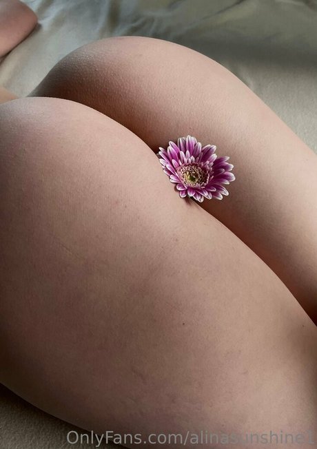 alinasunshine1 high quality pornstar gallery