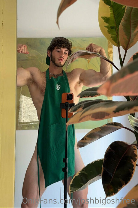 joshbigoshfree exclusive actress img