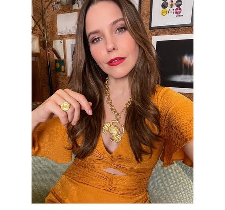 Sophia Bush adult model pic