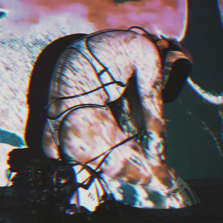 Danisaurz top profile image