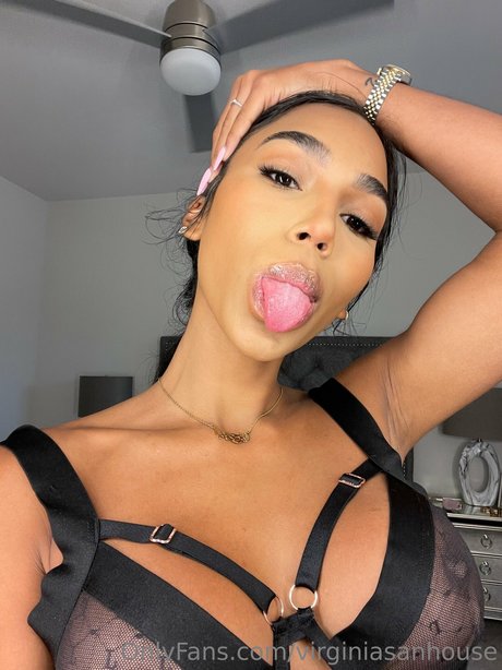 Virginia Sanhouse art pornstar image
