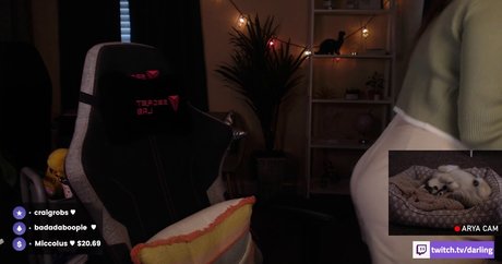 ASMR Darling star naked photos
