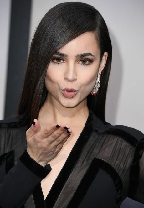 Sofia Carson nude star img