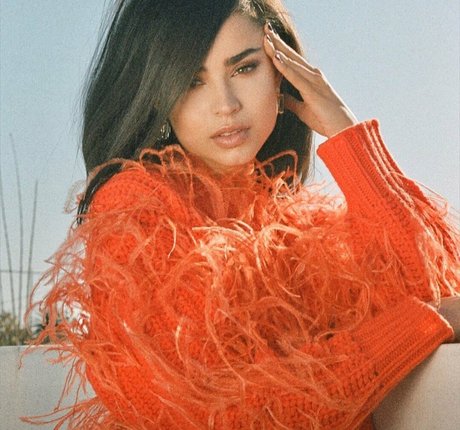 Sofia Carson adult model image