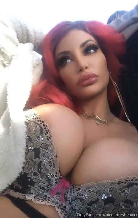 nicolettesheasquad pornstar top picture