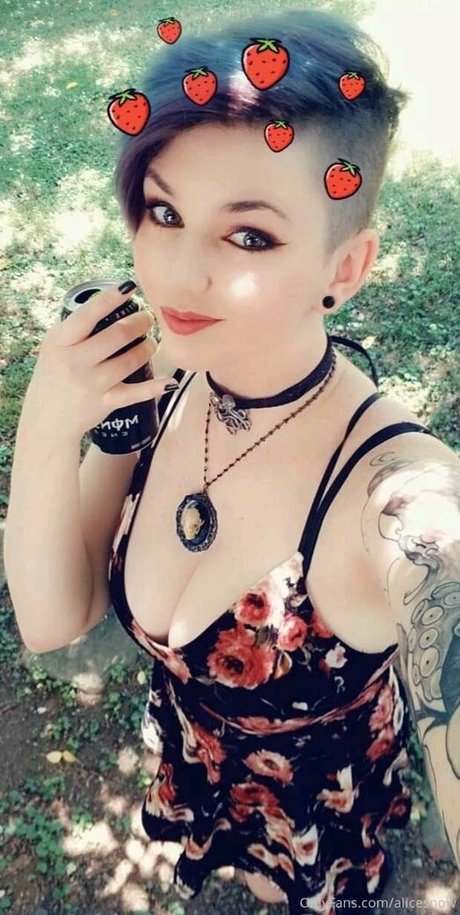alicesnow star best galleries