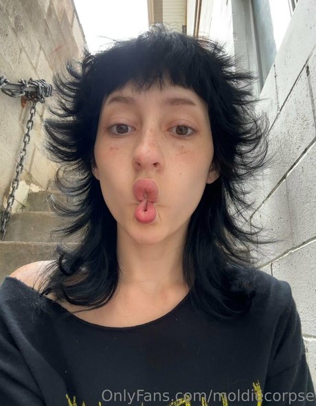 moldiecorpse pornstar perfect pics