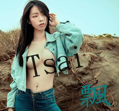 Tsai 919 free model picture