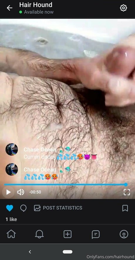 hairhound pornstar pretty galleries