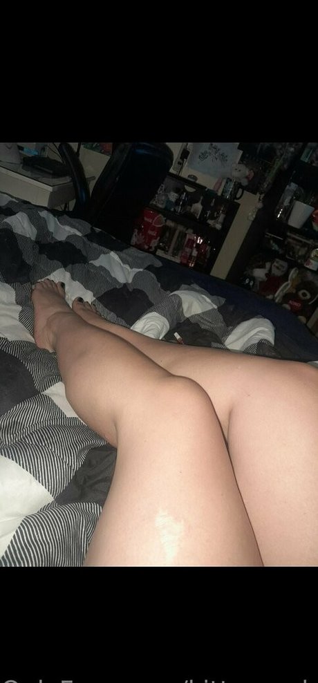 kitten onlyfans com high quality actress pics