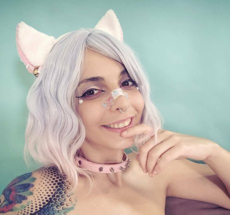 twerk kitty free free actress archive