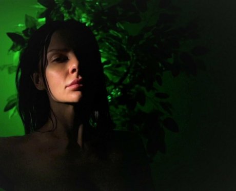 artease adult star photo
