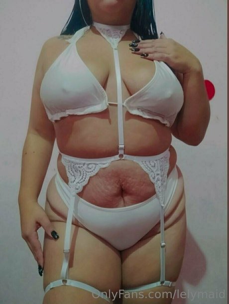 lelymaid model top image