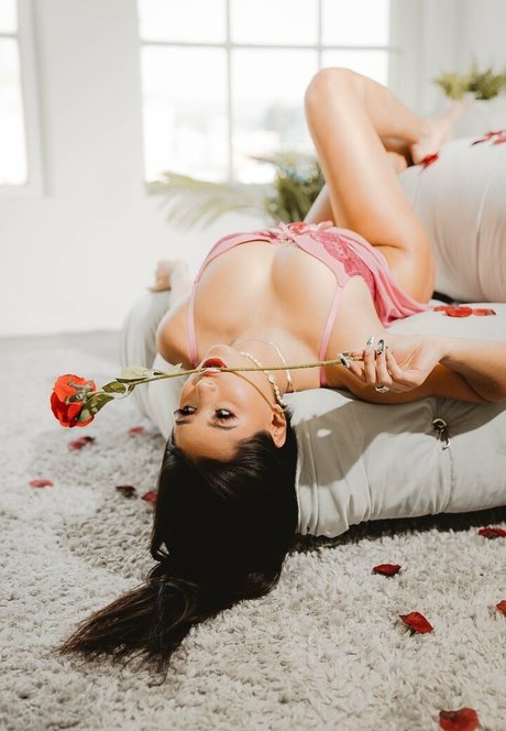 samfrank exclusive model gallery