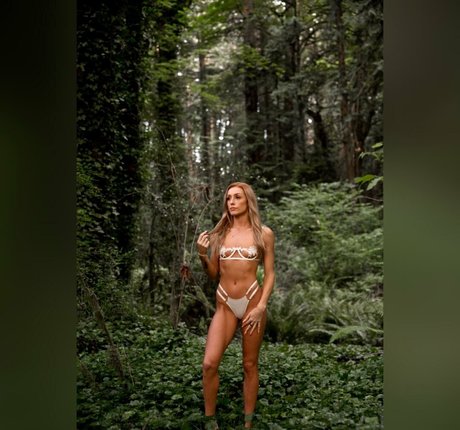 renegadephotography hd star photos