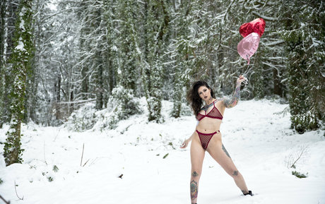 renegadephotography perfect pornstar archive
