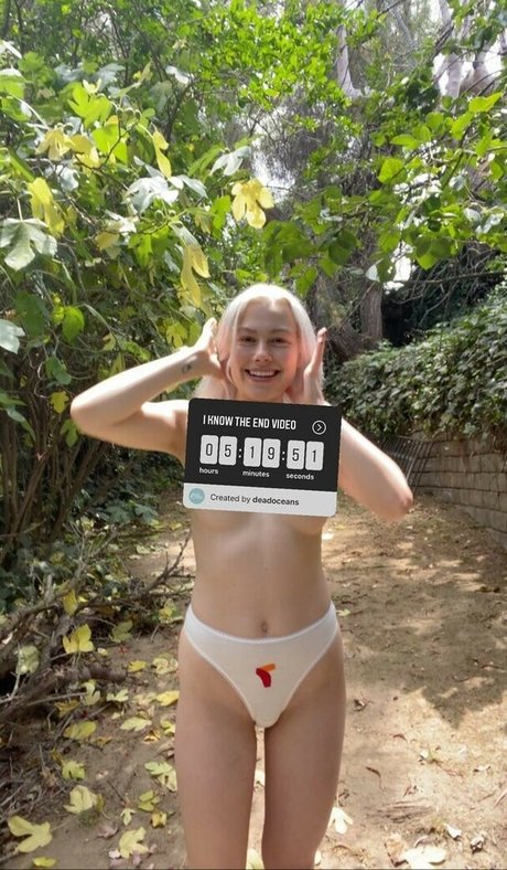 Phoebe Bridgers model pornographic pic