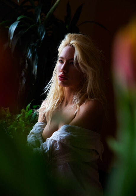 Ivy Wolfe nude star photos