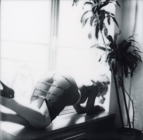 Shelbie Dimond erotic model gallery
