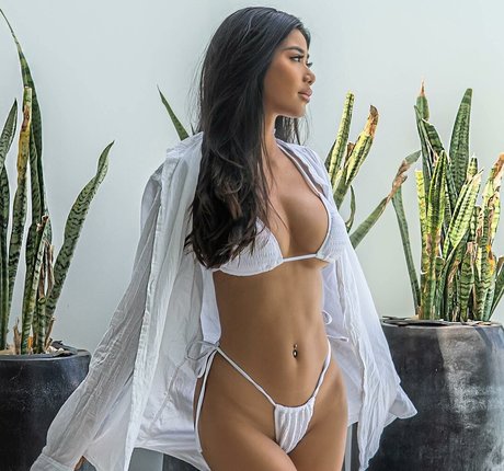 littlethingsmingle porn star archive