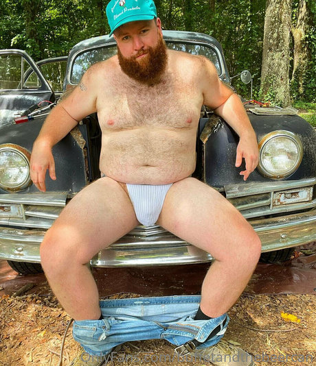 buffetandthebeercan star beautiful picture