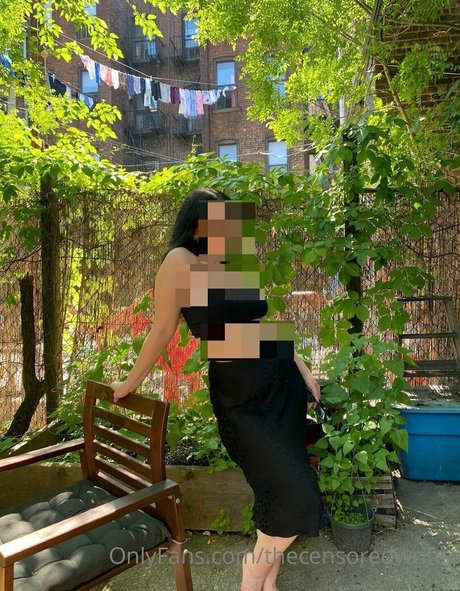 thecensoredwriter top pornstar gallery