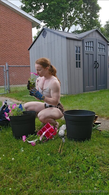 fitlittleredheadfree hd model pictures