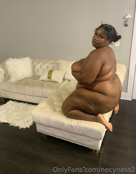 necyness2 model pornographic galleries