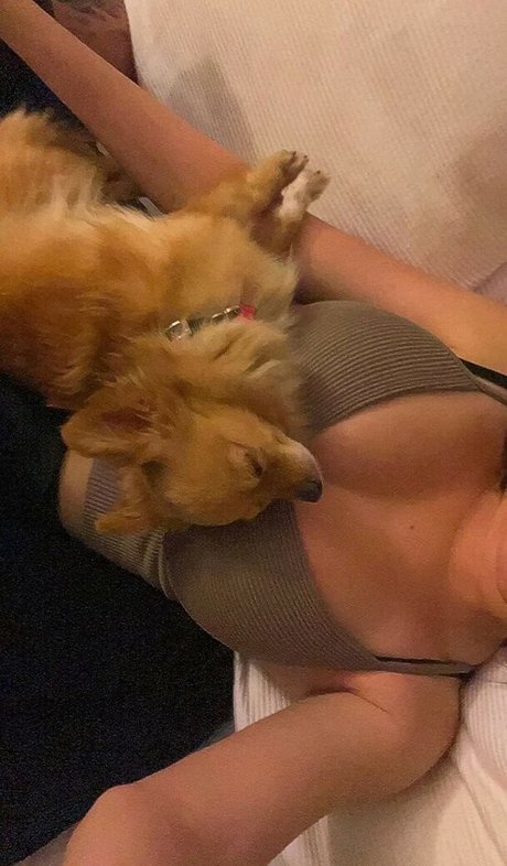 Bambixoxo22 nudes pornstar pic