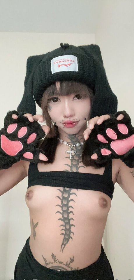 cyber0v0 best model pic