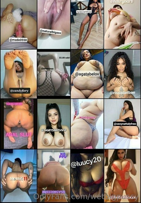 wetbigpussy star art galleries