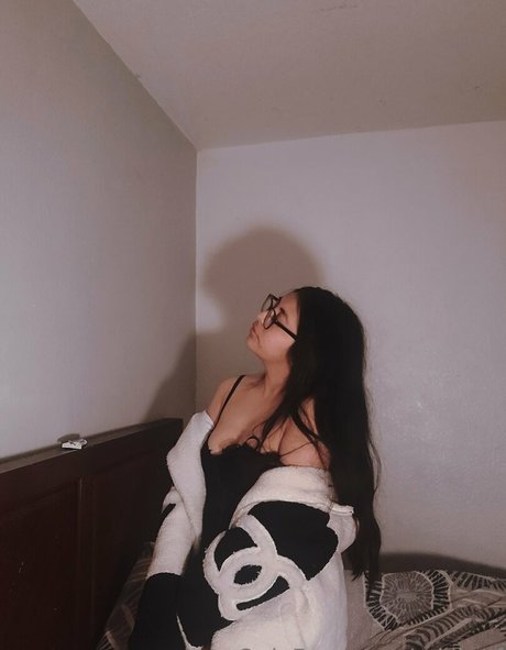 mich of high quality model archive