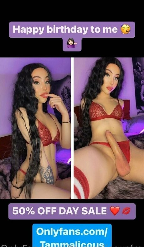 tammydreamworxfree star adult archive