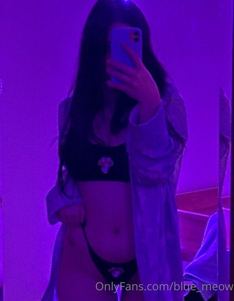 blue meow model beautiful archive