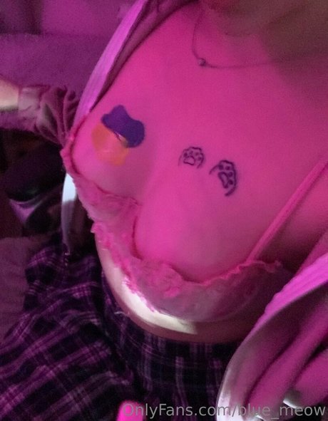 blue meow star porn archive