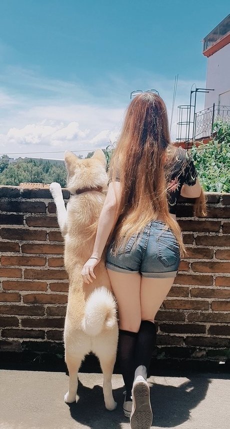 Sanchan Claudia adult star image