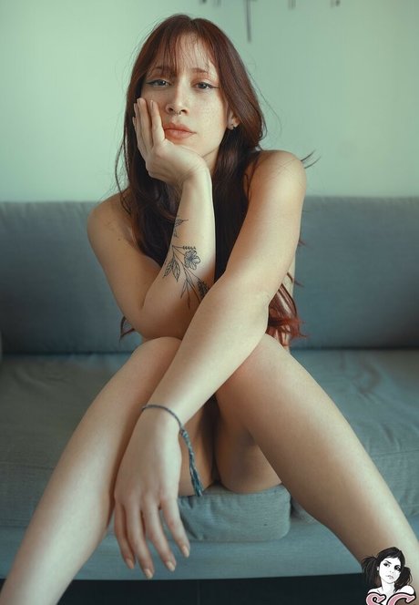 Kamikasered pretty star galleries