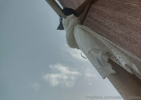 sakura odiosa star high quality archive