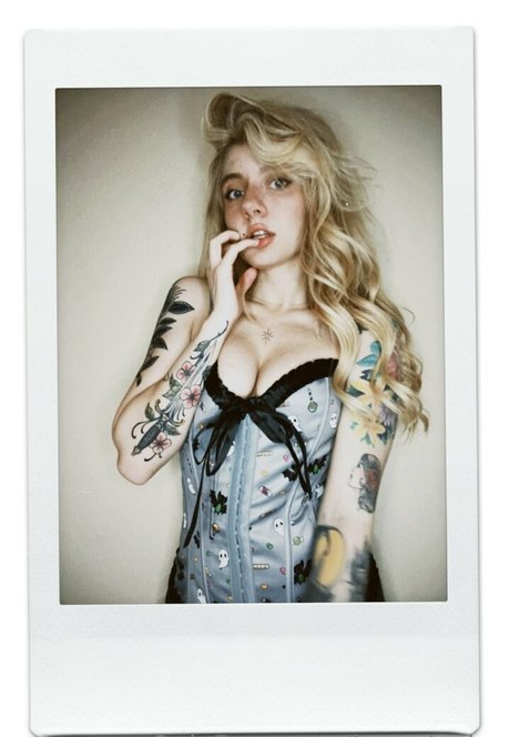imsadspice star pics