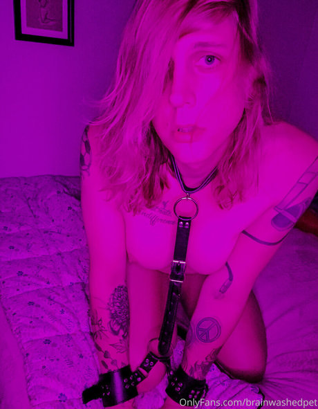 brainwashedpet sexy model pics