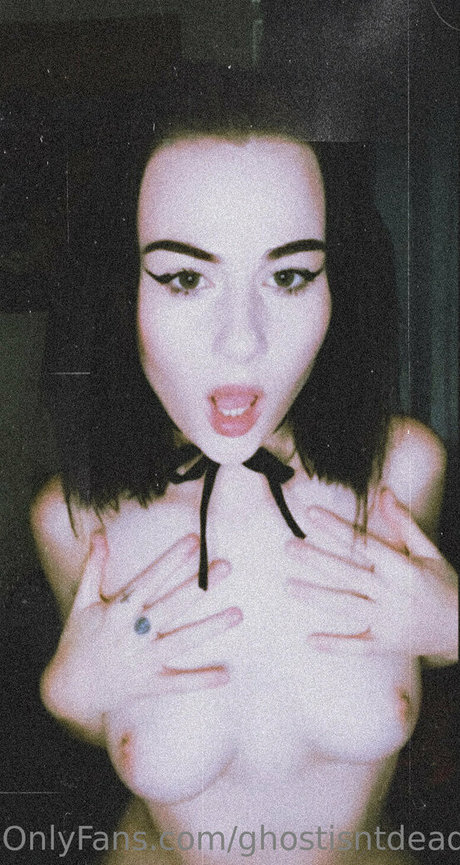 ghostisntdead2022 star pretty archive