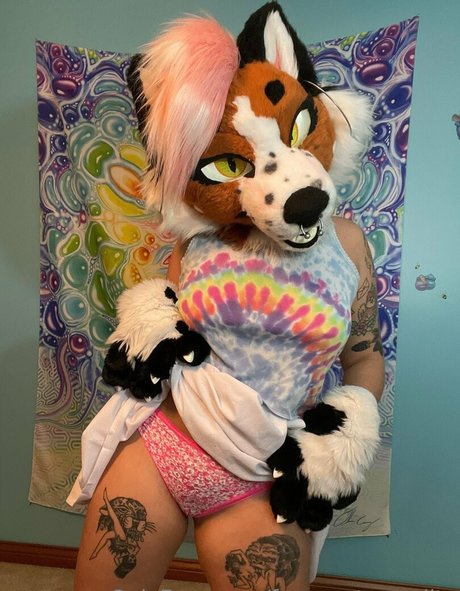 fox anatomy lite model top photo