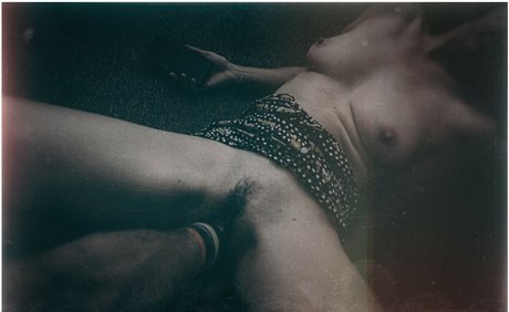 spiderplant art model photo