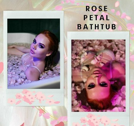 redfoxxxxxxx model xxx archive