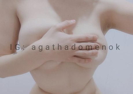 Agathadomenok model perfect galleries