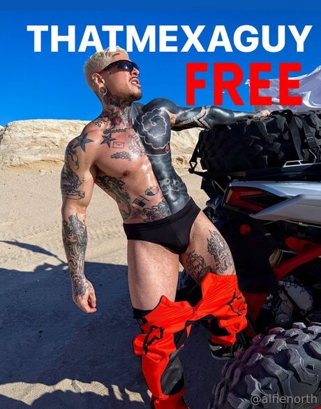 alfienorthfree model sex galleries