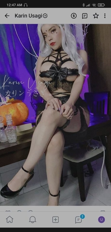 Karin Usagi pornstar beautiful image