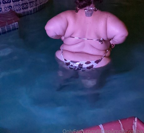littlepumpkinssbbw star adult archive