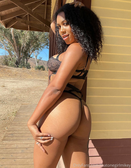 thatonegirlmikey nude pornstar photo