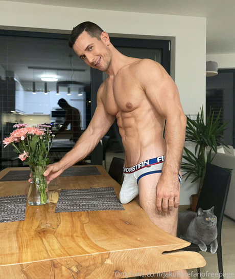 jakubstefanofreepage star perfect galleries